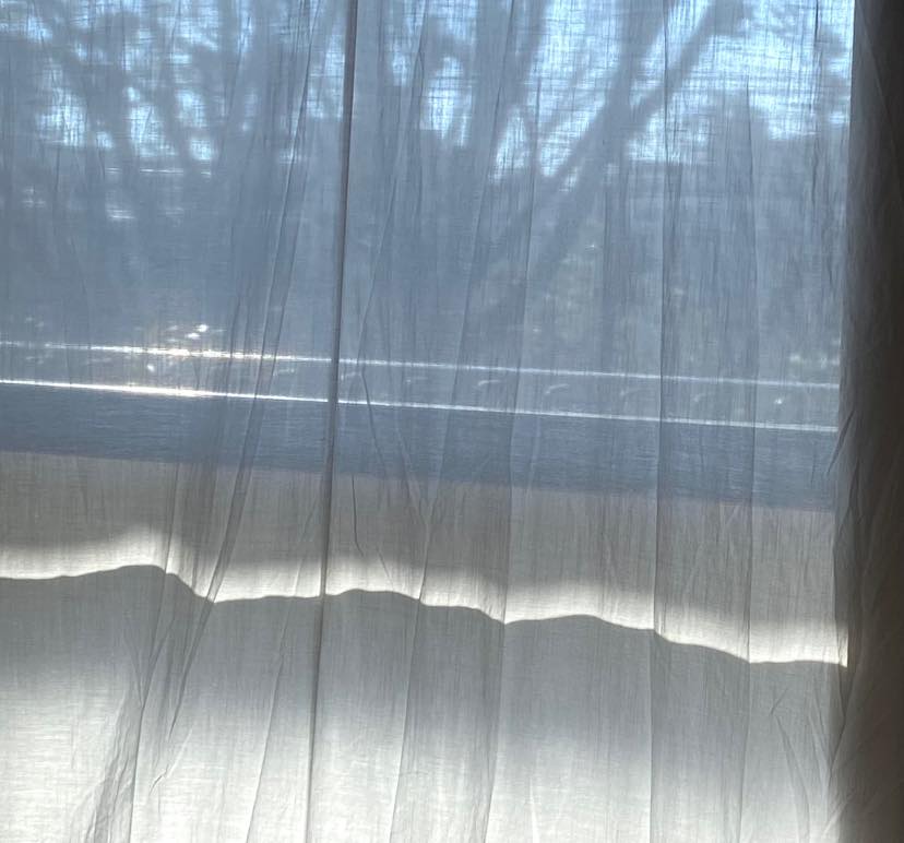 カーテンに映る、窓の桟の影。アルプスの山並みみたい✨