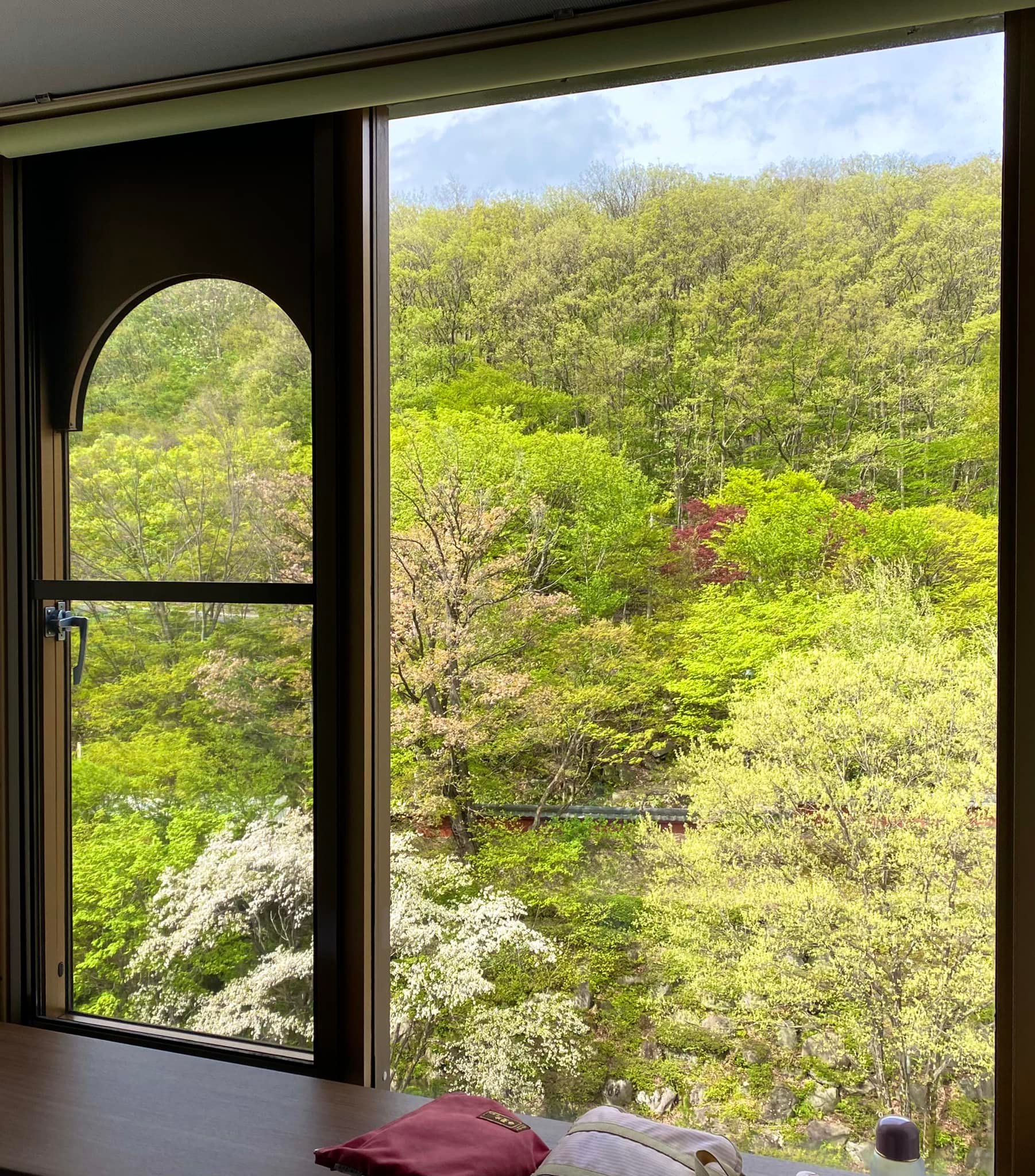 ホテルの部屋から、新緑の窓！