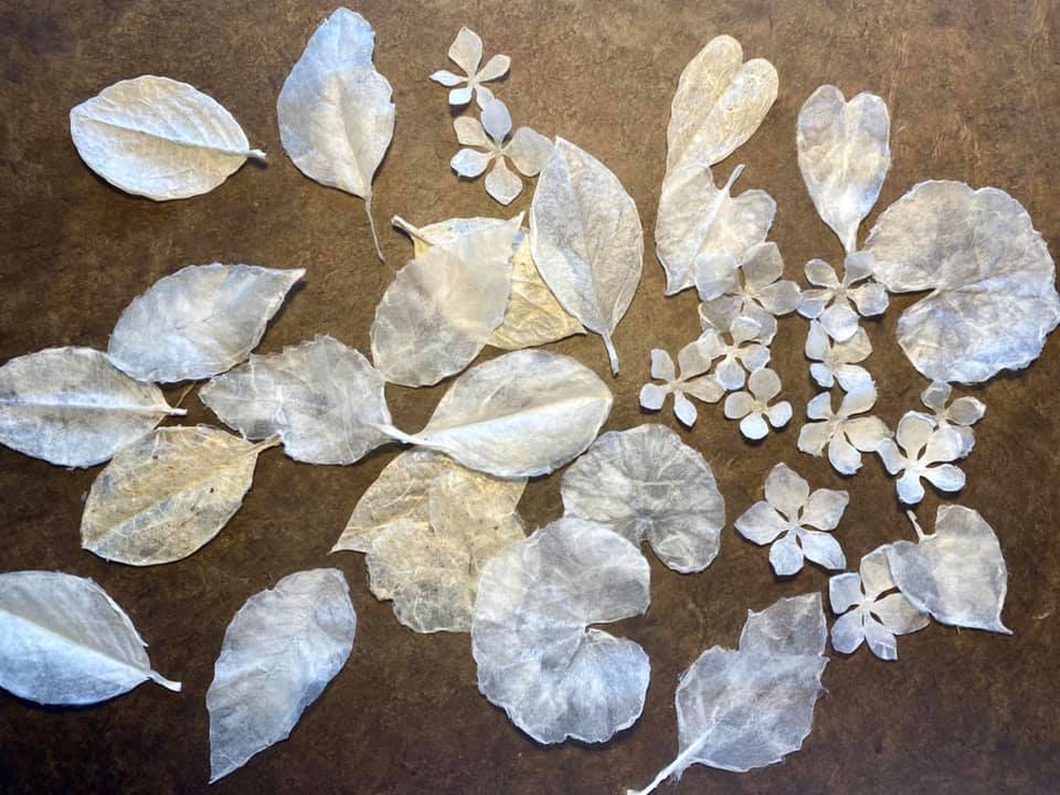 国産の材料を使った土佐和紙から作った、木の葉。 植物（和紙）で葉を作ると、とても自然で。。✨